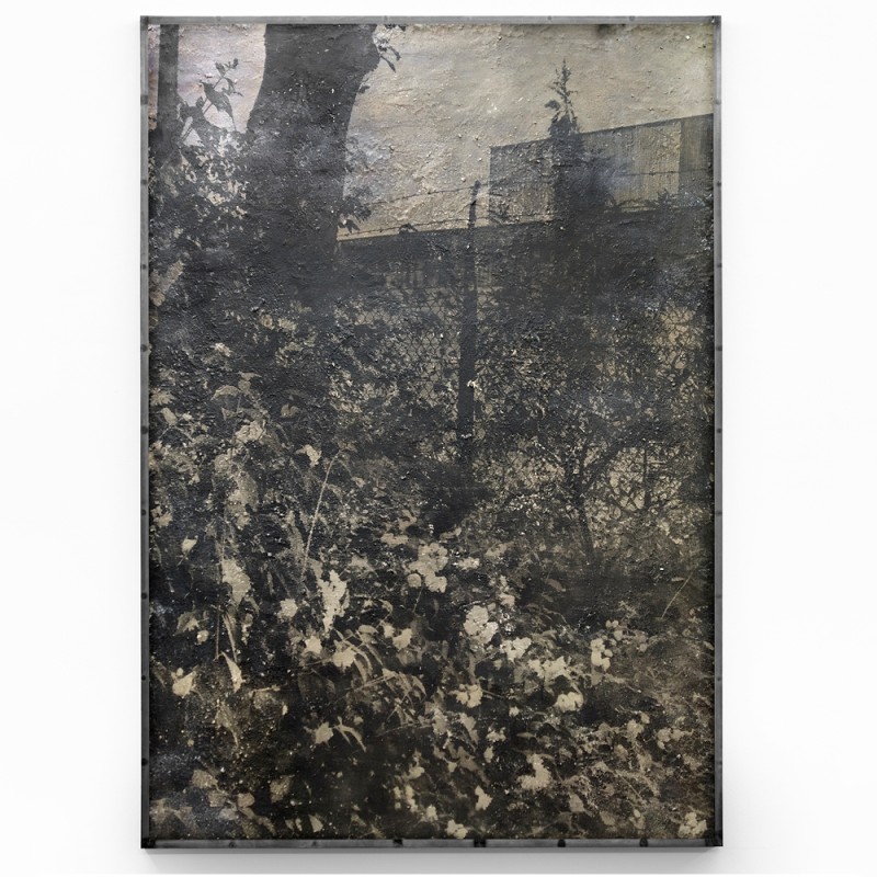 Lucas Leffler - N°23, Zilverbeek, 2024
